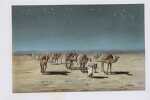 Die Sahara, oder von Oase zu Oase. Bilder aus dem Natur  und Volksleben in der grossen afrikanischen Wüste.. CHAVANNE (Josef)