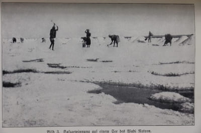 In Zauber der Wüste. Fahrten, Entdeckungen und Ausgrabungen der Kaufmannschen Expedition in der Libyschen Wüste