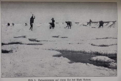 In Zauber der Wüste. Fahrten, Entdeckungen und Ausgrabungen der Kaufmannschen Expedition in der Libyschen Wüste . FALLS (J. Ewald)