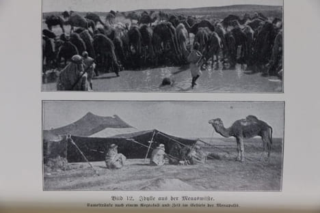 In Zauber der Wüste. Fahrten, Entdeckungen und Ausgrabungen der Kaufmannschen Expedition in der Libyschen Wüste . FALLS (J. Ewald)