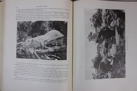 Du Cameroun à Alger par le Congo, le Haut-Oubanghi-Chari, le Ouadaï, l'Ennedi, le Borkou, le Tibesti, le Kaouar, le Zinder, l'Aïr, le Niger, le ...