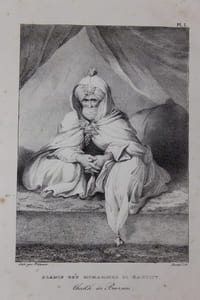 Voyages et découvertes dans le Nord et dans les parties centrales de l’Afrique, au travers du grand désert, jusqu’au 10° dégré de latitude nord, et depuis Kouba dans le Bornou, jusqu’à Sackato, capitale de l’Empire des Felatah, exécutées pendant les années 1822, 1823 et 1824. Suivis d'un appendix contenant un essai sur la langue du Bornou, les vocabulaires des langues de Timbouktou, du Mandara et du Begharmi ; des traductions de manuscrits arabes sur la géographie de l'intérieur de l'Afrique, des documens sur la minéralogie, la botanique, et les différentes branches d'histoire naturelle de cette contrée. Traduit de l ' anglais par Mm. Eyriès et De Larenaudière.