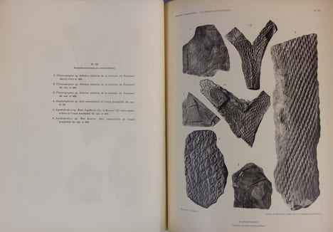 Documents scientifiques de la mission Foureau-Lamy.. FOUREAU Fernand