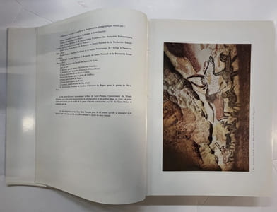 L'Art de l’époque du renne en France. Avec une étude sur la formation de la science préhistorique par Henri Breuil
