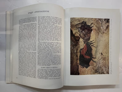L'Art de l’époque du renne en France. Avec une étude sur la formation de la science préhistorique par Henri Breuil