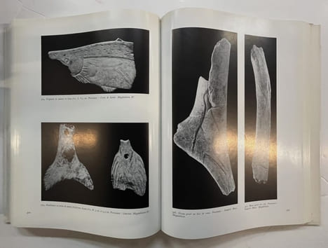 L'Art de l’époque du renne en France. Avec une étude sur la formation de la science préhistorique par Henri Breuil. ZERVOS (Christian) - BREUIL (abbé) ...