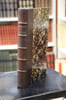 L'Oiseau. Huiti&egrave;me &eacute;dition illustr&eacute;e de 210 vignettes sur bois dessin&eacute;es par H. Giacomelli. MICHELET (Jules)