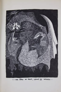 The Whiteclad Gambler - Le Joueur blanc-vêtu ou les Ecrits et les gestes de H. de Salignac. Poème épique.