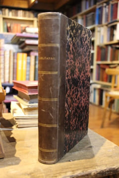 L’Orléanais. Histoire des ducs et du duché d’Orléans. PHILIPON de LA MADELAINE M. V. Louis