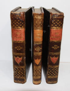 Les Bédouins, ou Arabes du désert. Ouvrage publié d'après les notes inédites de Dom Raphael sur les moeurs, usages, lois, coutumes civiles et religieuses de ces peuples. Et orné de 24 figures dessinées par F. MASSARD