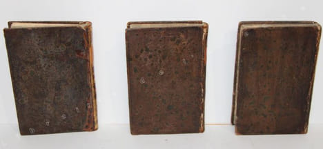 Les Bédouins, ou Arabes du désert. Ouvrage publié d'après les notes inédites de Dom Raphael sur les moeurs, usages, lois, coutumes civiles et ...
