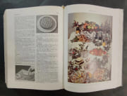 Larousse gastronomique. Par Prosper Montagné, maître cuisinier, avec la collaboration du docteur Gottschalk. préface de A. Escoffier et de Ph. Gilbert par MONTAGNé, Prosper - Image 5