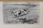 Les courses de lévriers. Le Coursing-Greyhounds et Fox-Terriers.. SAUVENIERE Alfred de