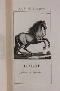Instruction concernant les manoeuvres des ,troupes à cheval rédigée sur les ordonnances actuellement en activité. Nouvelle édition.