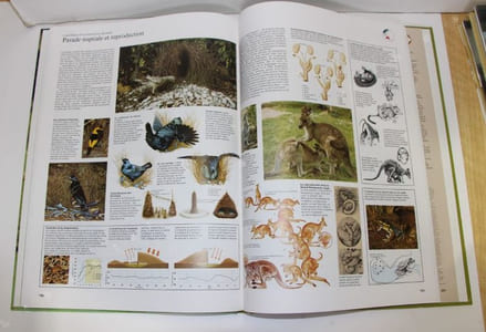 Atlas de la vie sauvage
