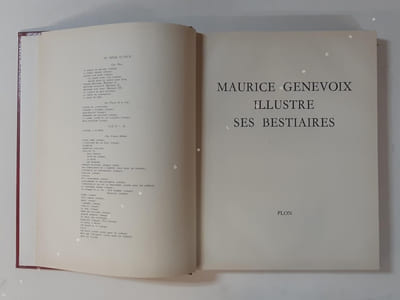 Géographie de l’Europe ; Géographie de la France ; Histoire géographique du Brésil