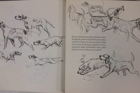 Croquis et histoire de bêtes. Pages d’album, dessins et souvenirs inédits
