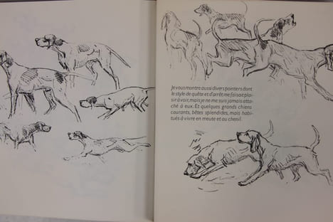 Croquis et histoire de bêtes. Pages d’album, dessins et souvenirs inédits. OBERTHUR Joseph