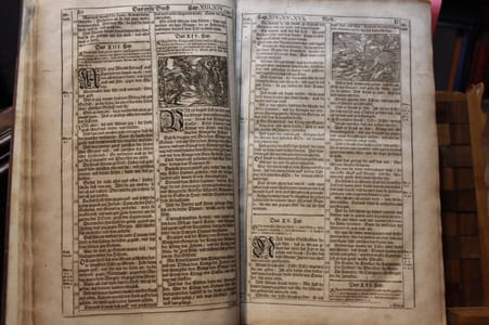 [Biblia, die ganze Heilige Schrift. Alten und Neuen Testament]