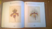 Orchidées. Dictionnaire iconographique par Alfred COGNIAUX - Alphonse GOOSSENS - Image 3