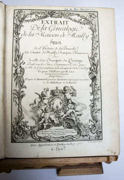 Extrait de la généalogie de la maison de Mailly, suivi de l'Histoire de la branche des comtes de Mailly, marquis d'Haucourt, et de celle des marquis ...