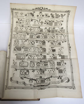 Extrait de la généalogie de la maison de Mailly, suivi de l'Histoire de la branche des comtes de Mailly, marquis d'Haucourt, et de celle des marquis ...