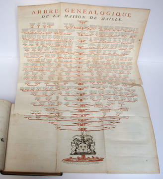 Extrait de la généalogie de la maison de Mailly, suivi de l'Histoire de la branche des comtes de Mailly, marquis d'Haucourt, et de celle des marquis ...