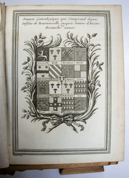 Extrait de la généalogie de la maison de Mailly, suivi de l'Histoire de la branche des comtes de Mailly, marquis d'Haucourt, et de celle des marquis ...
