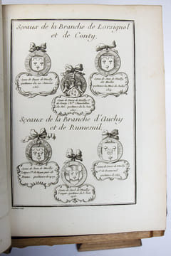 Extrait de la généalogie de la maison de Mailly, suivi de l'Histoire de la branche des comtes de Mailly, marquis d'Haucourt, et de celle des marquis ...