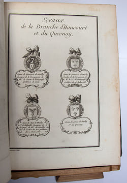 Extrait de la généalogie de la maison de Mailly, suivi de l'Histoire de la branche des comtes de Mailly, marquis d'Haucourt, et de celle des marquis ...