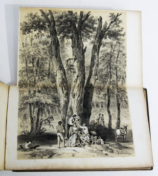 Souvenirs de Fontainebleau. Recueil de 29 lithographies dont 2 repliées dit «album genévrier» figurant le château de Fontainebleau et les plus beaux ...