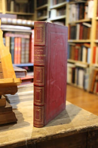 Histoire illustrée des grands voyages au XIXe siècle. Franklin, Mac-Clure, Bellot, Kane, Mac-Clintock, Barth, Baker, Schweinfurth & Stanley