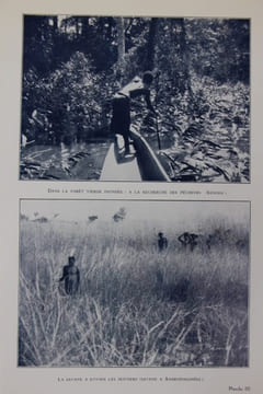 A travers l'Afrique Equatoriale sauvage. THOMAS (Jean)