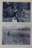 A travers l'Afrique Equatoriale sauvage. THOMAS (Jean)