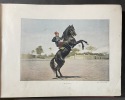 La France. Aquarelles, souvenirs de voyages. 