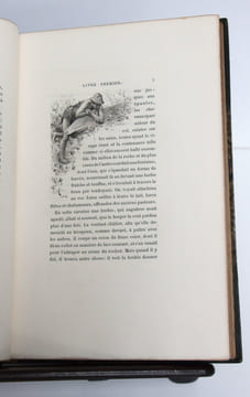 Daphnis et Chloé. Compositions de Raphaël Collin, gravées à l’eau-forte par Champollion. Préface de Jules Claretie - Illustrations de Raphaël COLLIN. ...