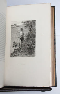 Daphnis et Chloé. Compositions de Raphaël Collin, gravées à l’eau-forte par Champollion. Préface de Jules Claretie - Illustrations de Raphaël COLLIN. ...