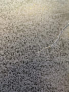 Composition.  par CANE (Louis). - Image 2
