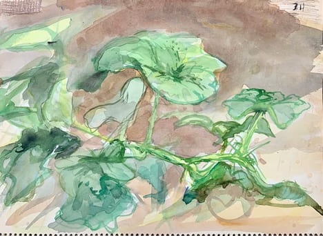 Arbres et paysages, carnet d'aquarelles.. ESPINOUZE (Henri).