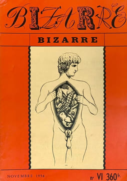 Bizarre ; Nouveau Bizarre, collection complète.. COLLECTIF, LOSFELD (Éric), PAUVERT (Jean-Jacques), puis PAUVERT (Mathias) et DESGRANGES (Michel), ...