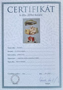 Sans titre (Le Bain turc).  par KOLÁŘ (Jiri). - Image 2