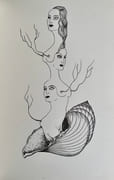 Histoire naturelle.  par LABISSE (Félix). - Image 4