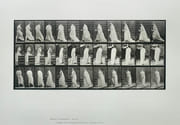 Femme en mouvement, Animal Locomotion, planche n° 97.  par MUYBRIDGE (Eadweard).  - Image 1