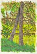 La Céberderie, lisière Sud-Est du bois Dambrai.  par PLACID (Jean-François Duval, dit). - Image 1