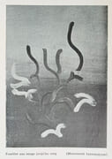 Visible et invisible.  par TROST. - Image 2