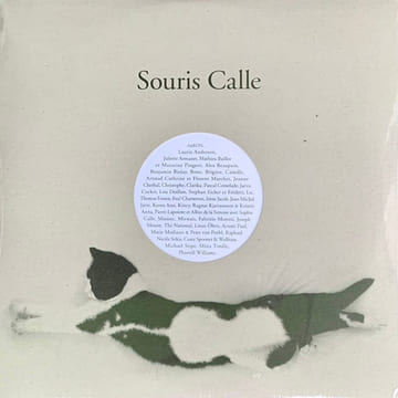 Souris Calle. . CALLE (Sophie).