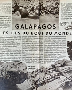 Voila, L’Hebdomadaire du reportage. . COLLECTIF, FELS (Florent), ARTAUD (Antonin).