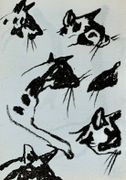 Image de livre