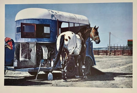 Cheval.. McLEAN (Richard).
