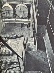 Les Cathédrales du vin.